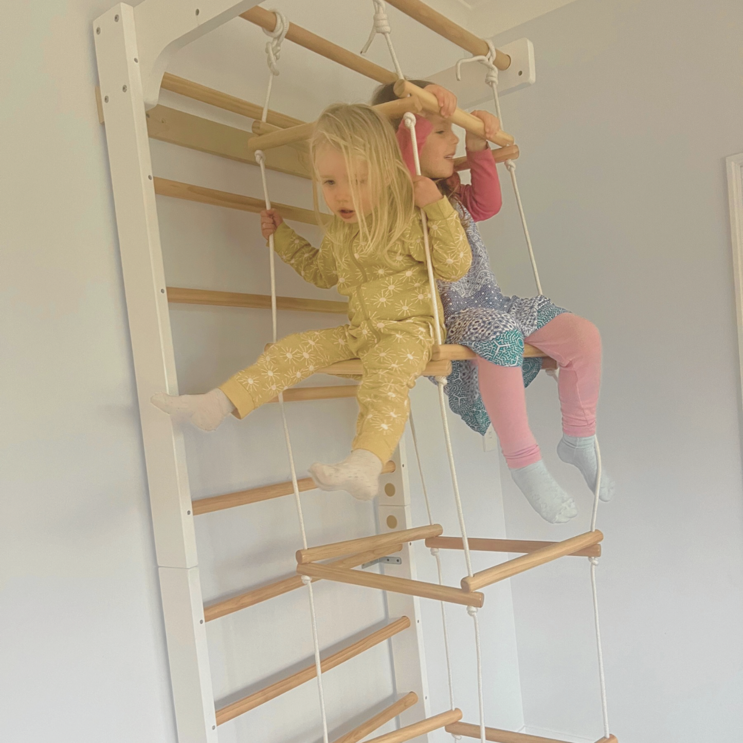 4D Rope Ladder