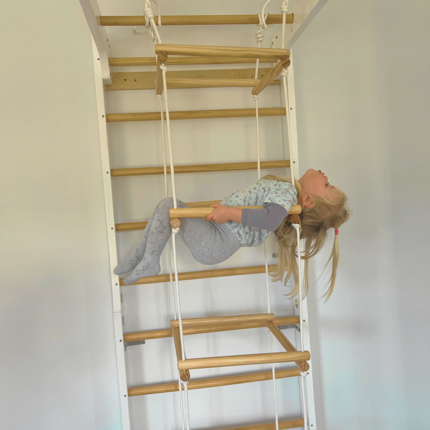 4D Rope Ladder