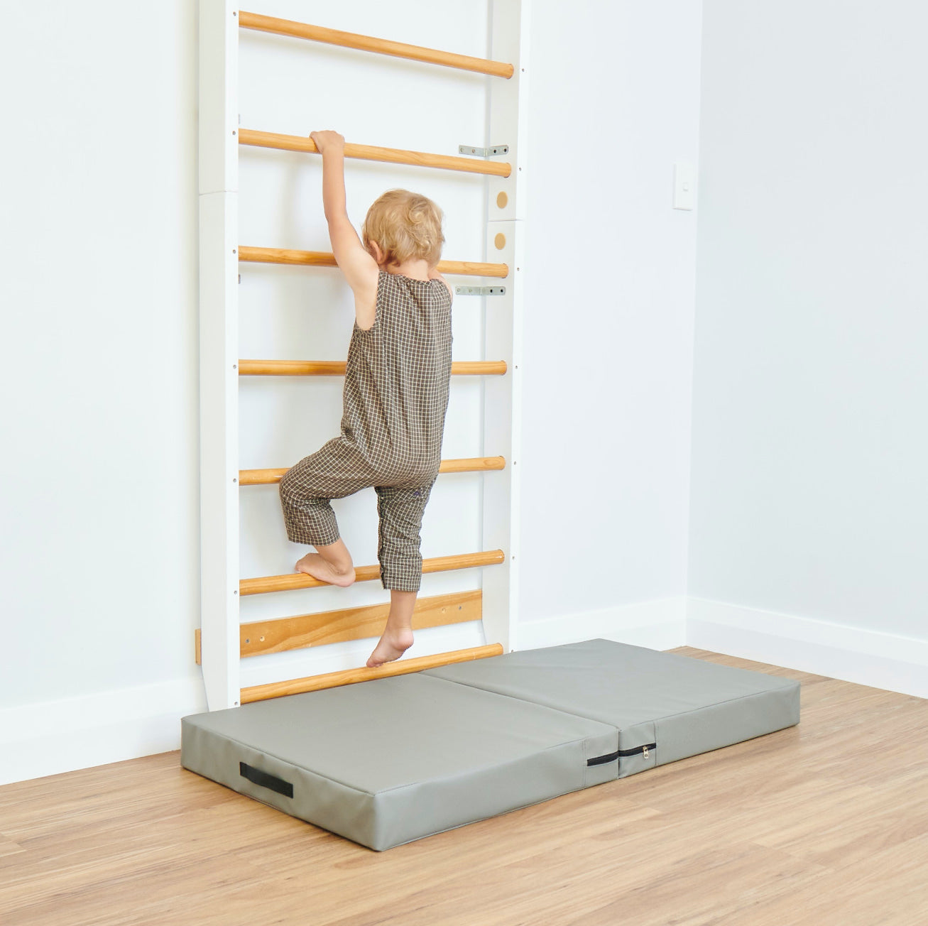 Swedish Ladder